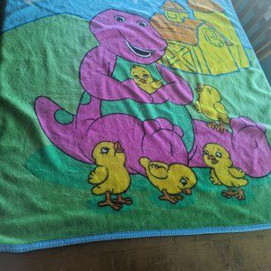 San Marcos Barney Blanket